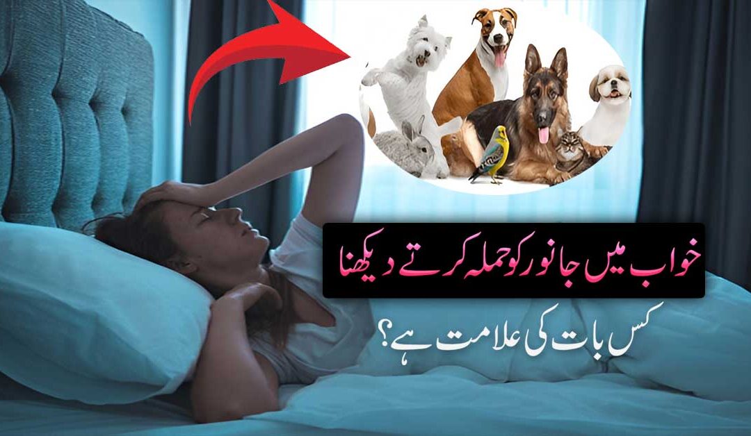 Khuab Mein Janwer Ko Hamla krtay Hue Dekhne Ki Elamat ?