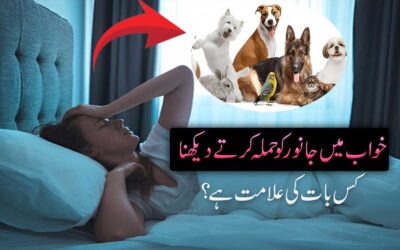 Khuab Mein Janwer Ko Hamla krtay Hue Dekhne Ki Elamat ?