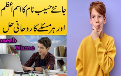 Haseeb Name Ka Matlab | Haseeb Name