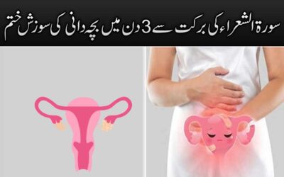 Uterine Inflammation And Infection